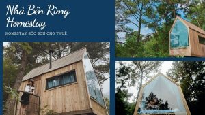 Homestay Nhà bên Rừng với view thoáng đãng, đắm mình giữa núi rừng Sóc Sơn