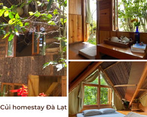 Các phòng tại Củi Homestay Đà Lạt