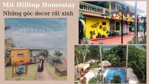 homestay ba vi 17