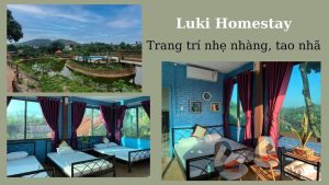 homestay ba vi 18