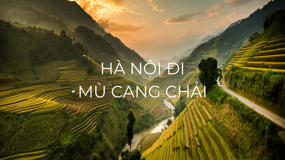 Mù Cang Chải mùa lúa chín