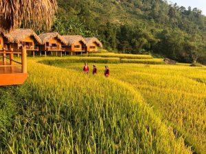 Tay bac Hoang Su Phi Lac Long La 1