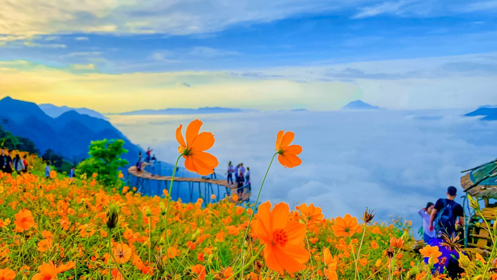 Săn mây Hang Kia Pà Cò thả hồn vào đồng hoa dại đẹp tựa cổ tích Thiết kế chưa có tên (1)