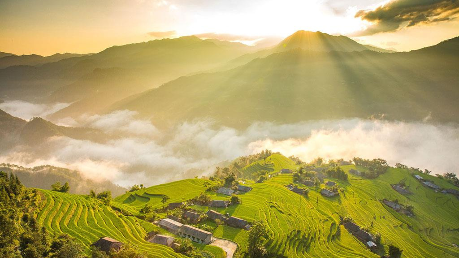 Thiết kế chưa có tên (1)