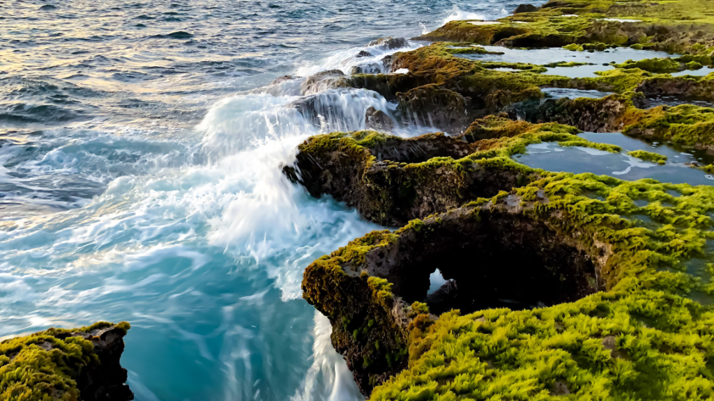 Hòn Đỏ Ninh Thuận tuyệt tác đến từ thiên nhiên 1 Thiet ke chua co ten 19