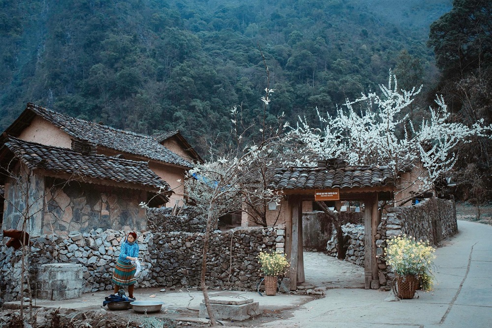 Nhà của Pao trở thành điểm du lịch Hà Giang nổi tiếng