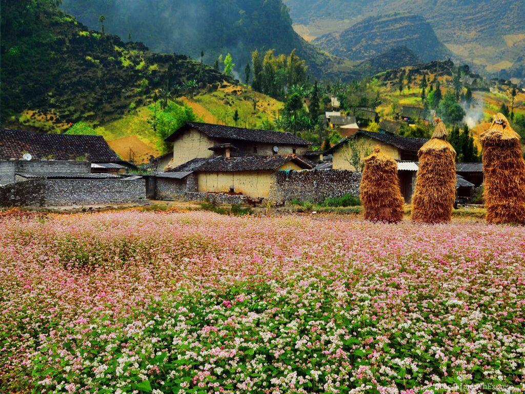 thung lung ha giang 1