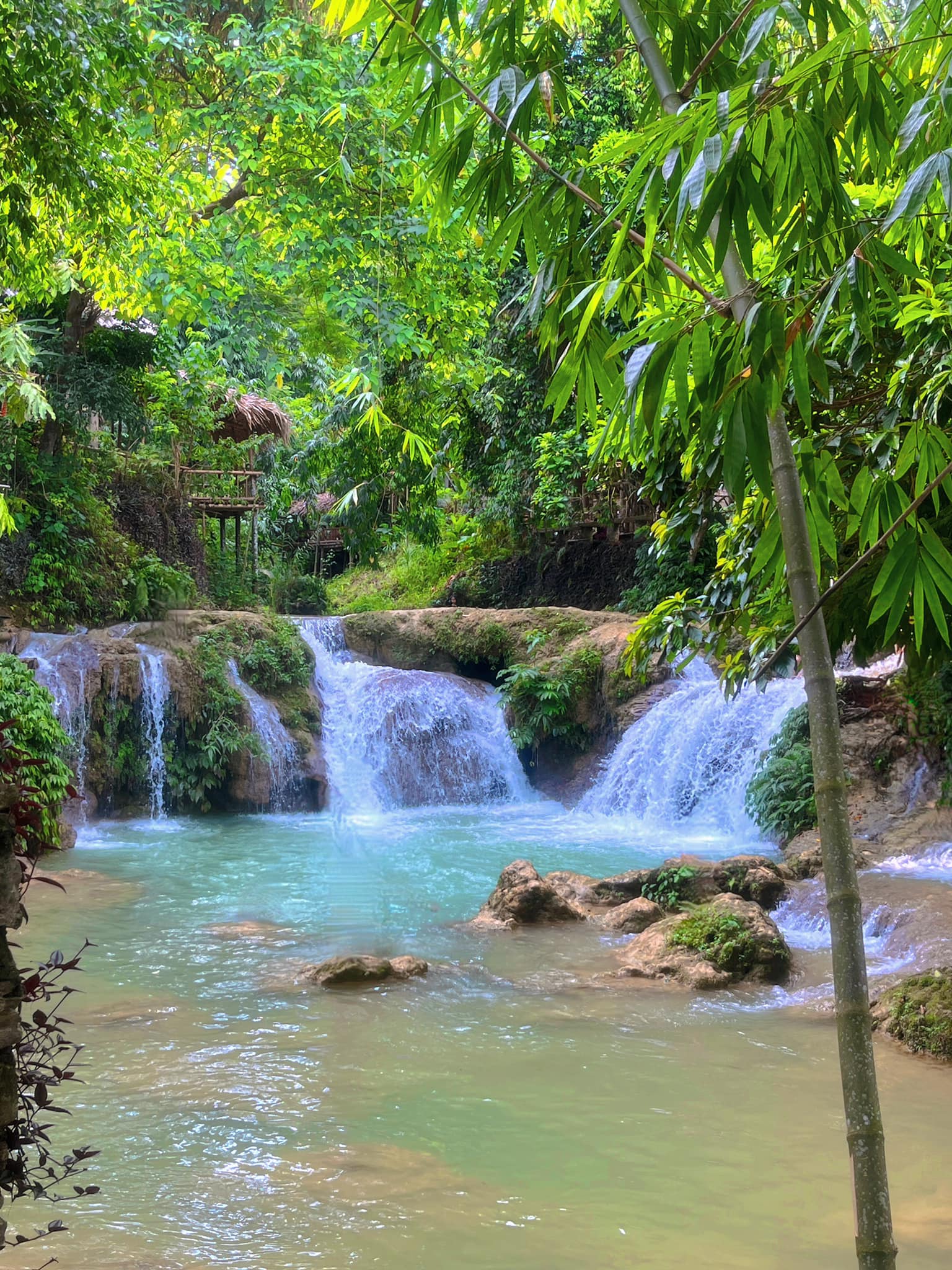 Thời điểm đi thác mu