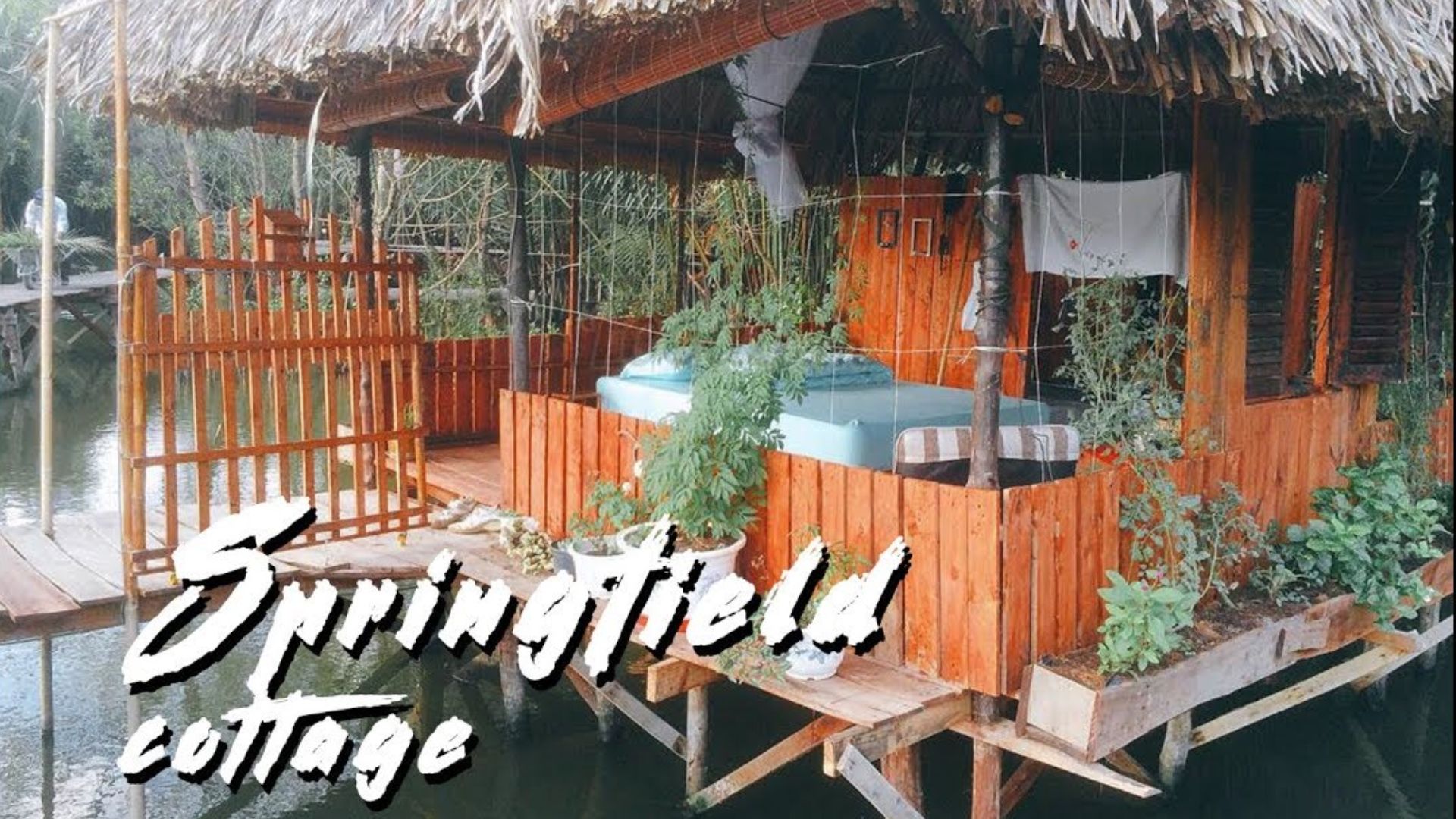 Springfield Cottage homestay