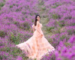 LẠC GIỮA RỪNG HOA Ở THẢO NGUYÊN HOA LONG BIÊN HÀ NỘI Thảo nguyên hoa Long Biên đệp hút hồn du khách