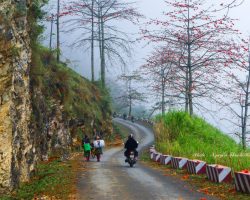 Khám phá các chợ phiên nên ghé khi du ngoạn Hà Giang Chợ phiên Du Già
