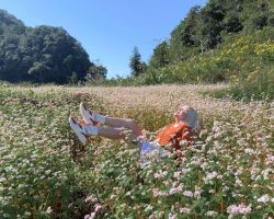 cánh đồng hoa tam giác mạch Hà Giang