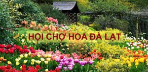 cho hoa da lat 2