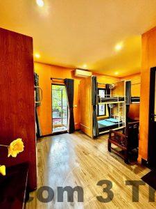 khach san Dream Comes True