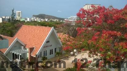 Không gian phòng sạch sẽ, bố trí gọn gàng tại Khách sạn Hoa Hồng