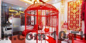 187107543 1709897479217276 370288062303217920 n 1000x500 2