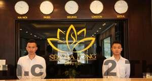 Hồ bơi tại khách sạn