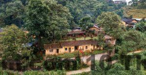 20085755 4f855b1e9d9cb94610f449866c7e4102