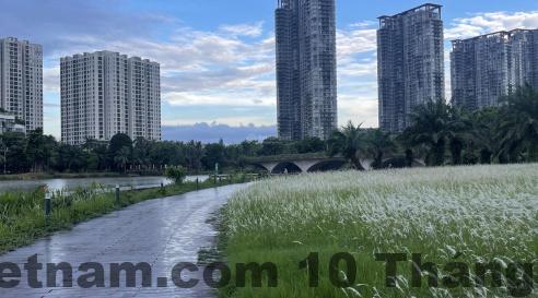 View ban công căn hộ Sky Homestay Ecopark nhìn ra khu đô thị xanh