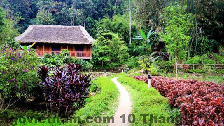 Hồ bơi ngoài trời tại Ta Phin Ho Resort, nơi lý tưởng để thư giãn