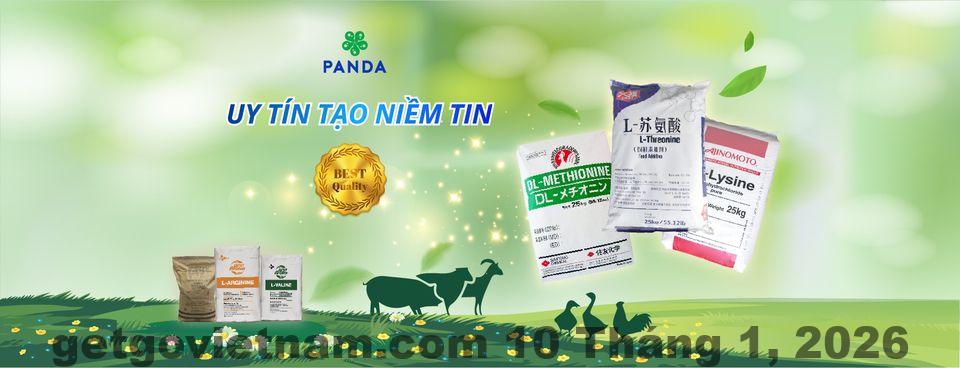 Hồ bơi khách sạn Nhà Panda sạch sẽ, phòng gym đầy đủ thiết bị