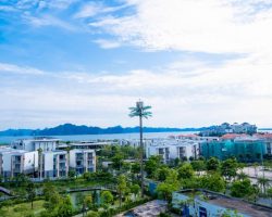 Đánh giá Ha Long Essence Boutique Hotel 2026: Có đáng ở khi du lịch Bãi Cháy? 363148476