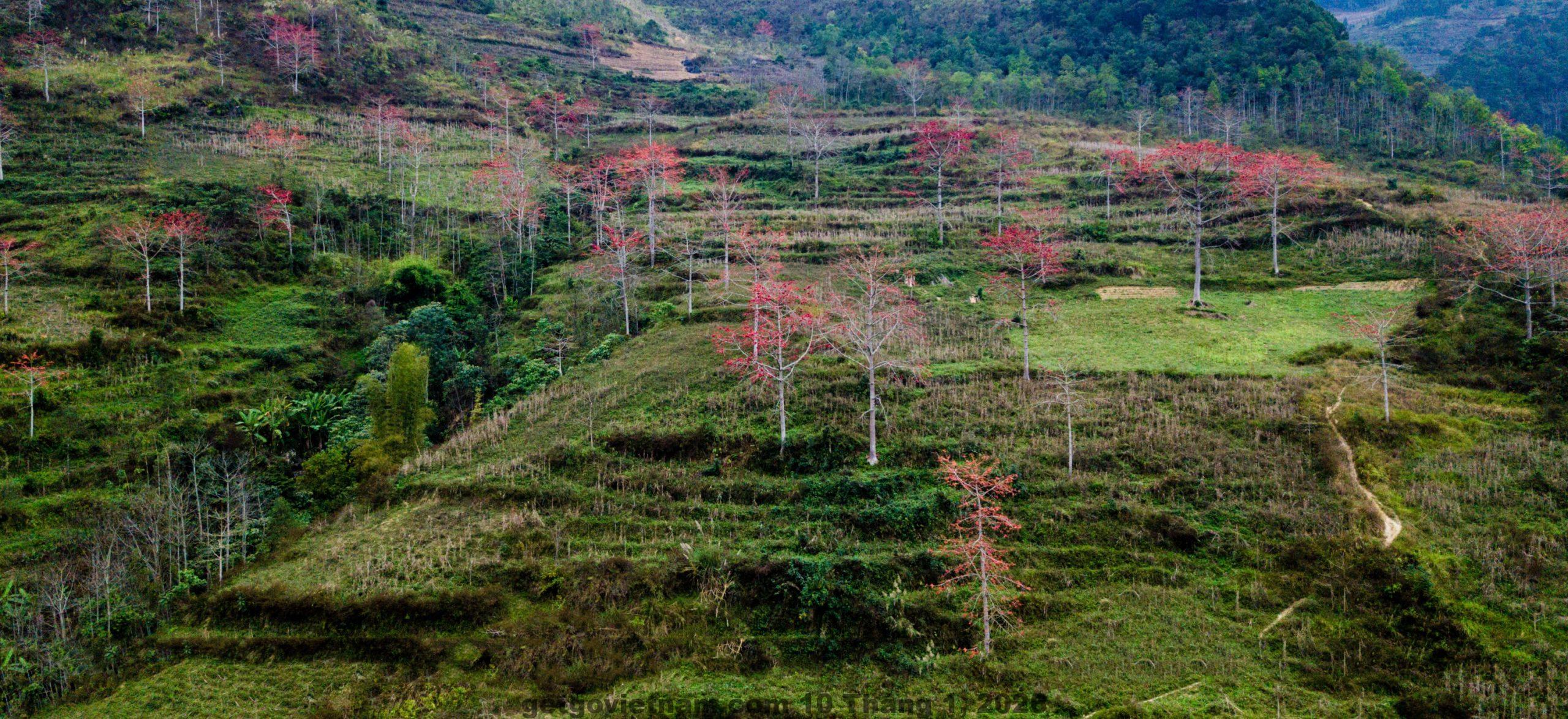 Khu vực trung tâm thành phố Hà Giang nơi Moc May by NorthStar Hostel tọa lạc