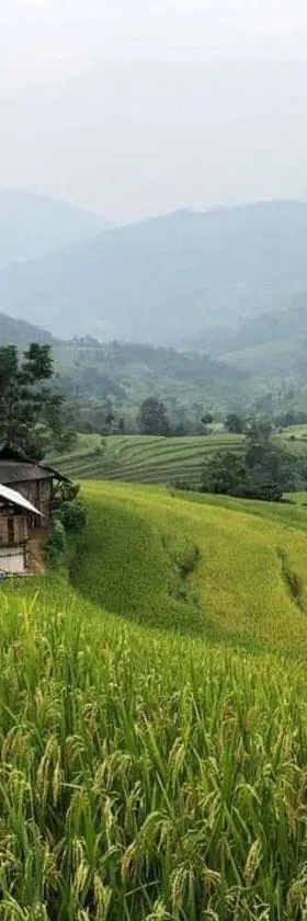 Phòng nghỉ tại Khách sạn Thuận An 2 với nội thất cơ bản