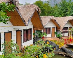 Wings Ha Giang Loop Bungalow & Tour: Khám Phá Lý Tưởng Cho Mọi Du Khách Đến Hà Giang 415231621