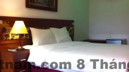 45a3b2096863aca766200fefcb46de19