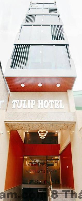Phòng ngủ tiêu chuẩn Tulip Hotel Hà Nội