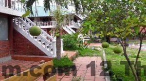 503277 17030713130051405449