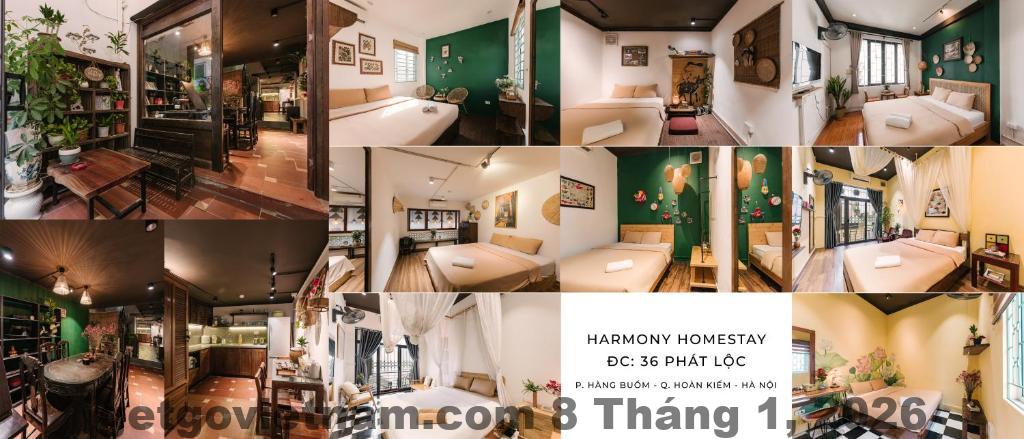 Phòng studio tại Chakra Homestay Studios đón ánh sáng tự nhiên ban ngày
