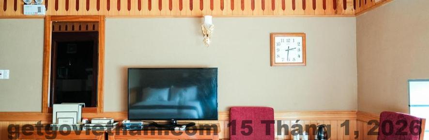 52776 1624853637 172982561