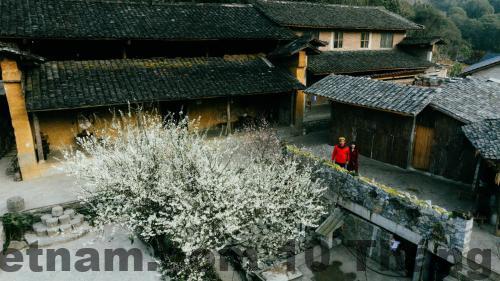 Không gian yên tĩnh tại nhà nghỉ Ngọc Lam.