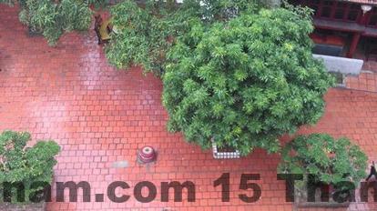 Quầy lễ tân Khách sạn Hoa Mai 2 với nhân viên thân thiện, hỗ trợ linh hoạt