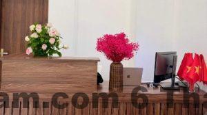 58597a00d630756b06d89f08f30e73be