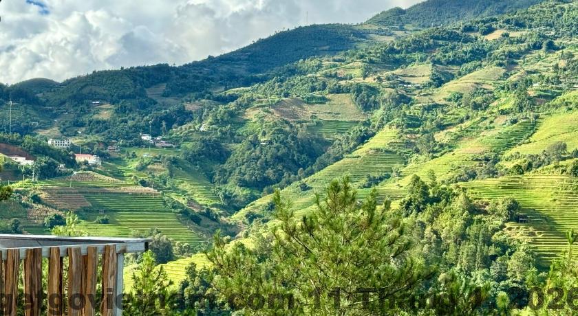 Khu vực lễ tân Nắng Hotel với nhân viên thân thiện