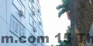 614707 1623224521 43033953 696191564086198 753240549644828672 n