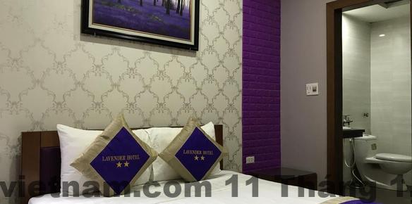 Hồ bơi tại Khách Sạn Lavender nhỏ nhưng đủ để thư giãn sau ngày dài tham quan