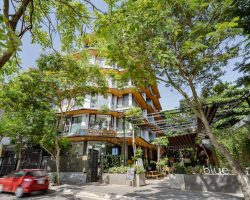 67813462-f346b2048f682a73de6cb75883e832fb-1