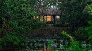 6878ced3 homestay soc son thumb 2