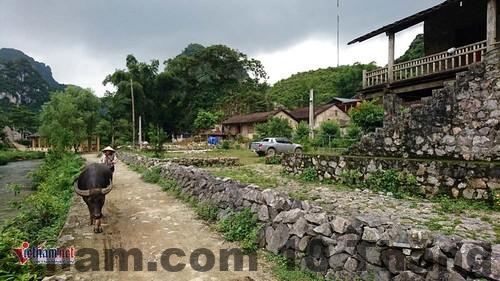 Bữa ăn gia đình tại Quang Thuận Homestay với món ăn địa phương Cao Bằng