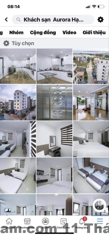 Aurora Hotel Hạ Long Review 2026: Có nên ở hay không? 1 709120873