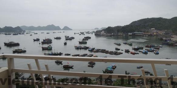 Khách sạn Phú Thành Cát Bà Review 2026: Giá rẻ, vị trí ổn nhưng có nên ở? 3 Khu vực xung quanh Khách sạn Phú Thành – gần chợ Cát Bà và bến tàu