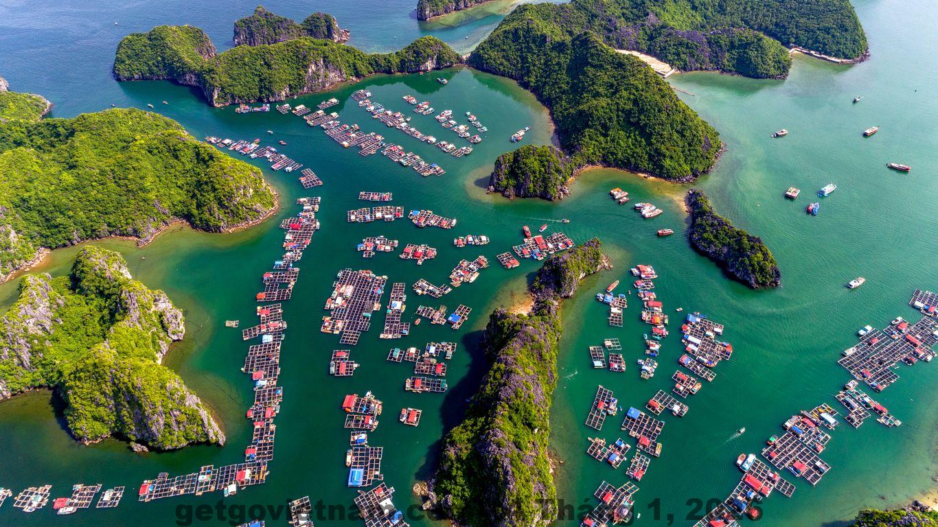 Khu vực xung quanh Poseidon Hotel Hạ Long, đường rộng dễ di chuyển