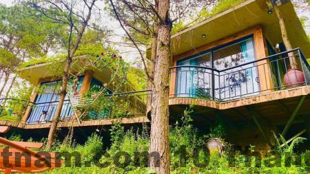 Hồ Đồng Đò Sóc Sơn – không gian thiên nhiên yên bình ngay sát Lagom Village Đồng Đò