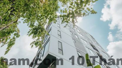 Không gian phòng ngủ studio với giường lớn và cửa sổ đón ánh sáng