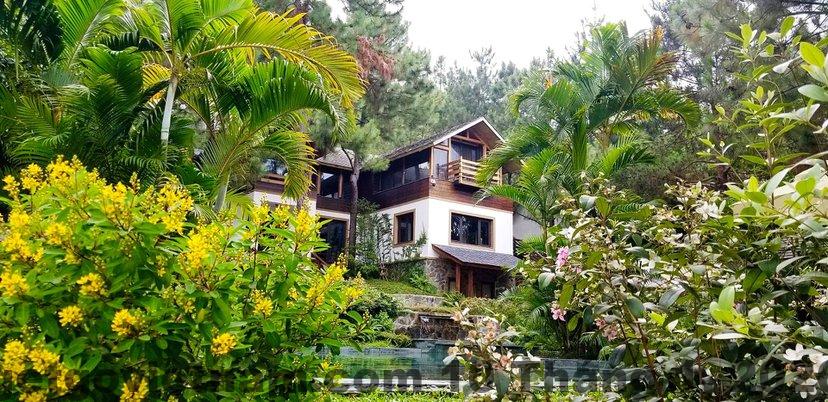 Review Amaya Home Sóc Sơn 2026: Retreat Rừng Thông Đáng Ở Hay Chỉ Để Check-in? 1 Amaya home soc son 18 1