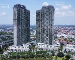 Anh-thuc-te-Sol-Forest